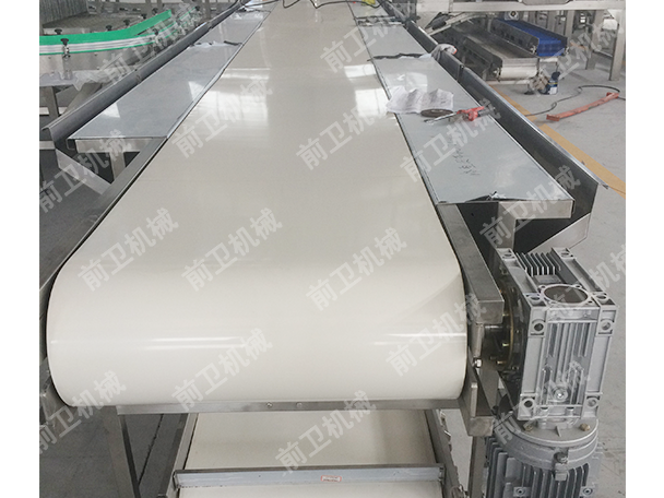 Belt conveyer